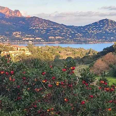 Vue Et Estérel Au Petit Paradis-terrasse 16 M2-cap Estérel-saint Raphaël * Saint-Raphaël