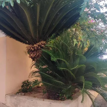 Appartamento Vue Et Estérel Au Petit Paradis-terrasse 16 M2-cap Estérel-saint Raphaël Saint-Raphaël